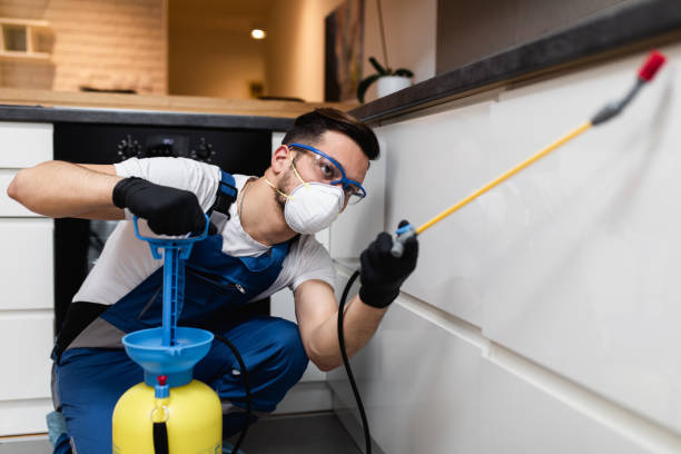 Best Rat Extermination Near Me  in East Missoula, MT