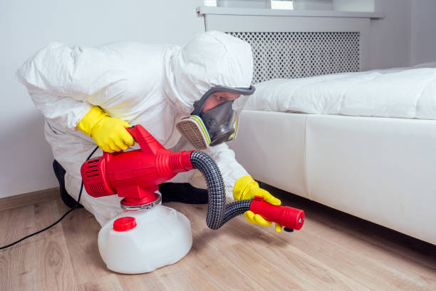 Reliable East Missoula, MT Pest Control Solutions