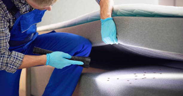 Best Emergency Pest Control  in East Missoula, MT