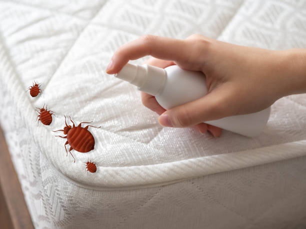 Best Commercial Pest Control Services  in East Missoula, MT