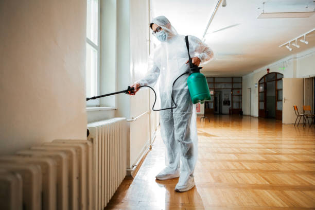 Best Bed Bug Extermination  in East Missoula, MT